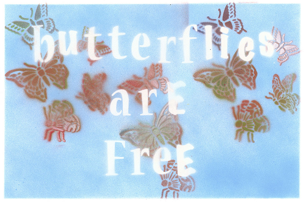 Butterflies are free